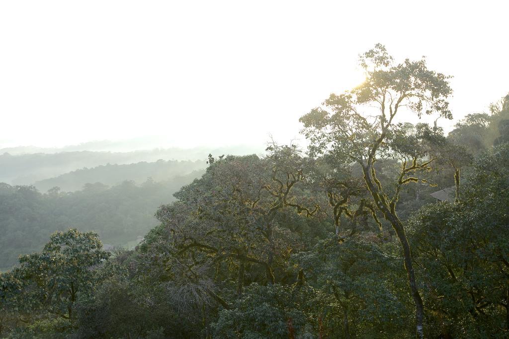 Taj Madikeri Resort & Spa Coorg Luaran gambar